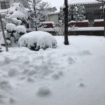 今シーズン1番の雪☃️です💦